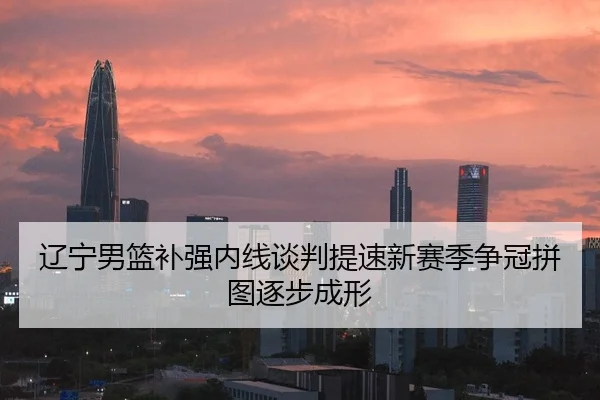辽宁男篮补强内线谈判提速新赛季争冠拼图逐步成形