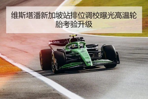 维斯塔潘新加坡站排位调校曝光高温轮胎考验升级